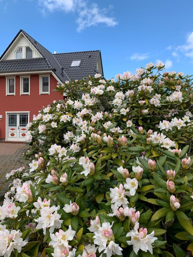 Ferienwohnung Strandgut - Kavelweg 9 - Zingst Buitenkant foto