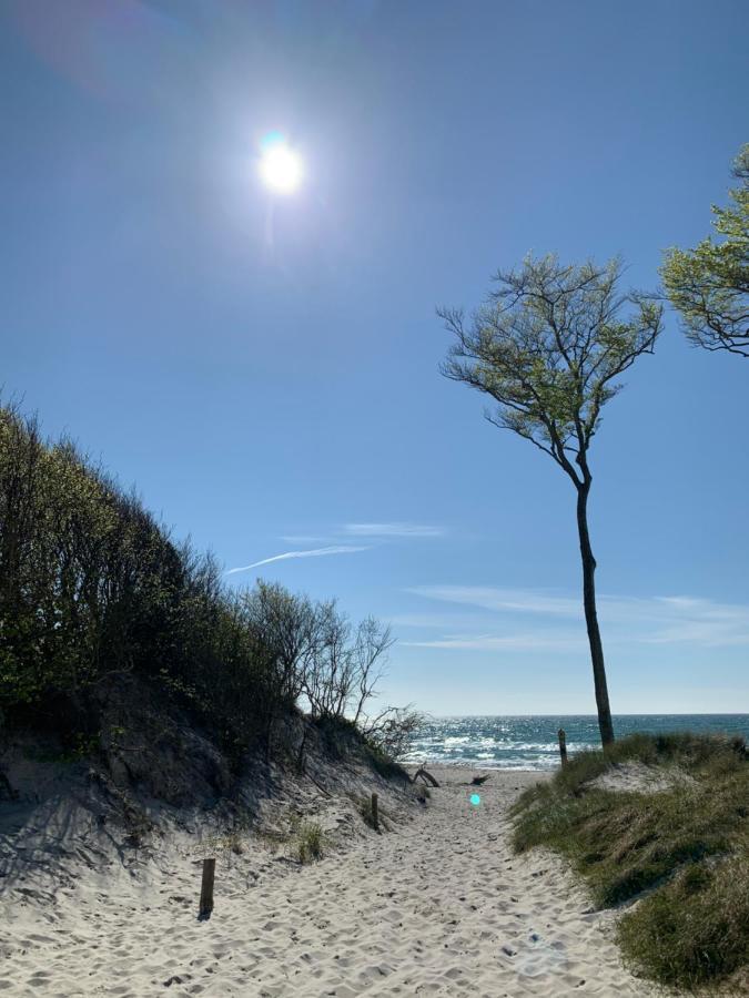 Ferienwohnung Strandgut - Kavelweg 9 - Zingst Buitenkant foto